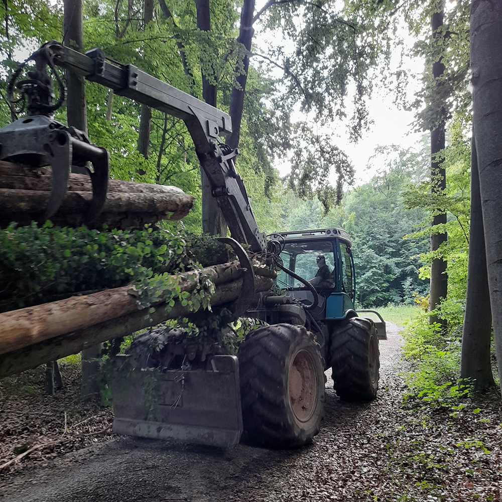 rueckearbeit forstwirtschaftliche dienstleistung